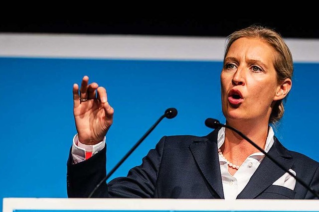 Hat Alice Weidel in ihrer Doktorarbeit...t oder gar abgeschrieben? (Archivbild)  | Foto: Christoph Schmidt (dpa)