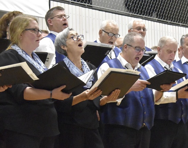 Der gemischte Chor bestritt das Weihnachtskonzert in zwei Blcken.  | Foto: Horatio Gollin