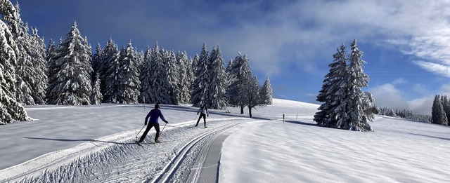   | Foto: Matthias Kaufhold