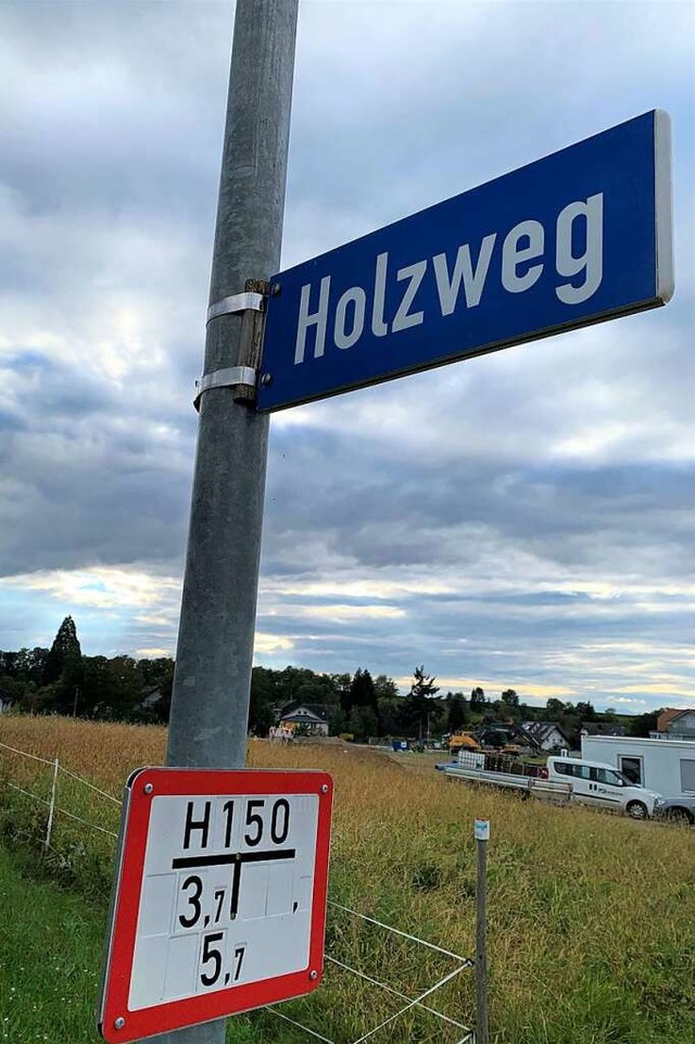 Am Holzweg entstehen neue Huser &#821...ehen soll,  soll 50 Meter lang werden.  | Foto: Simone Hhl