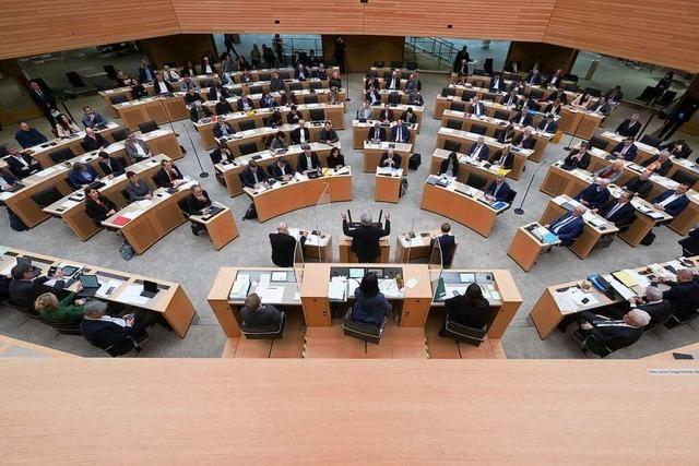 Innenministerium stoppt FDP-Volksbegehren fr kleineren Landtag