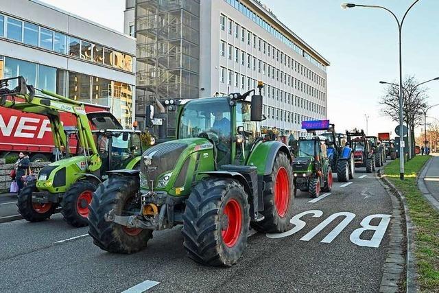 Bauern bangen auch in Sdbaden um ihre Existenz – und demonstrieren