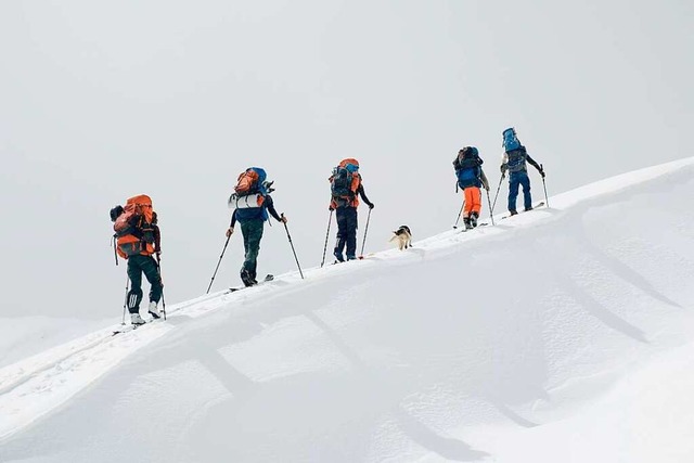Ein Experiment: Die Skidurchquerung im Kaukasus  | Foto: Foto: Ialakha/Sammy Theurer