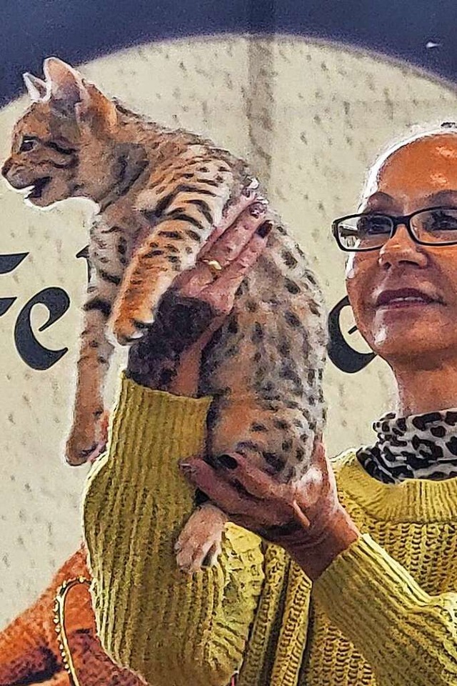 Alle sieben Katzen der Familie Sauter ...ne Sauter freut sich sehr ber Erfolg.  | Foto: Iven Sauter