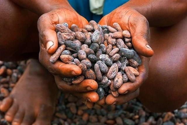 Kakao wird kostbarer – in afrikanischen Produktionslndern kommt davon wenig an