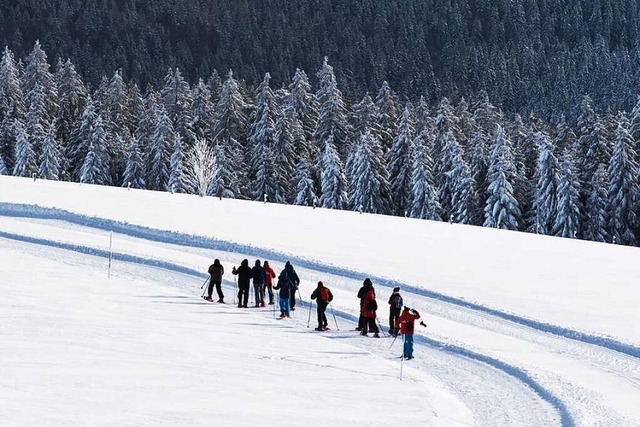 Schneeschuhwanderer bei Hofsgrund  | Foto: Patrick Seeger (dpa)