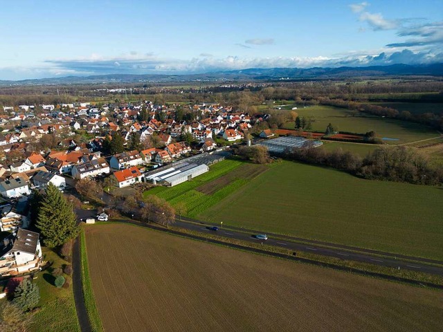 Im vorderen Teil des Grtnereigelndes...ei groe Blcke mit Geschosswohnungen.  | Foto: Hubert Gemmert