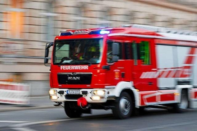 Feuerwehr rettet Pony aus Gllegrube