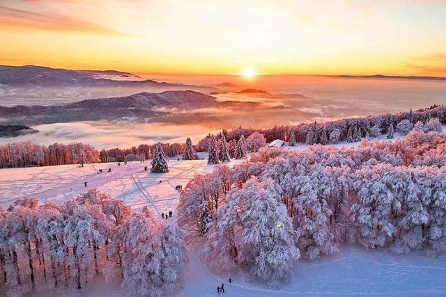 Winterausflug: Erst auf die Homepage, dann auf den Kandel