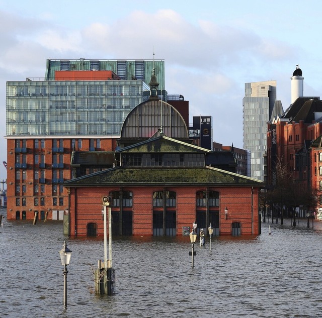 Von Wasser bersplt: der Hamburger Fischmarkt am Freitag  | Foto: Christian Charisius (dpa)