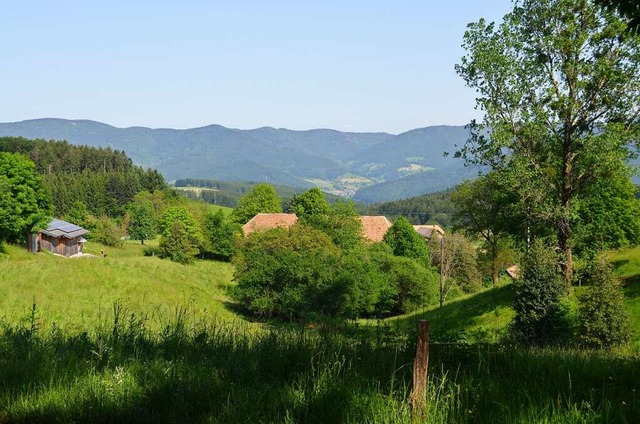 Blick von der Selbig auf die gegenber...elbhl, Braunhrnle und Rohrhardsberg.  | Foto: Nikolaus Bayer