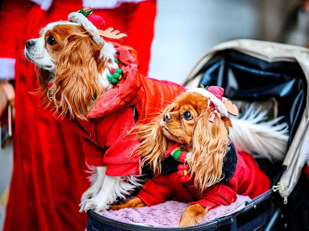 In jedem Land wird Weihnachten anders gefeiert. Die besten Fotos kuriosen Weihnachtsmnnern.