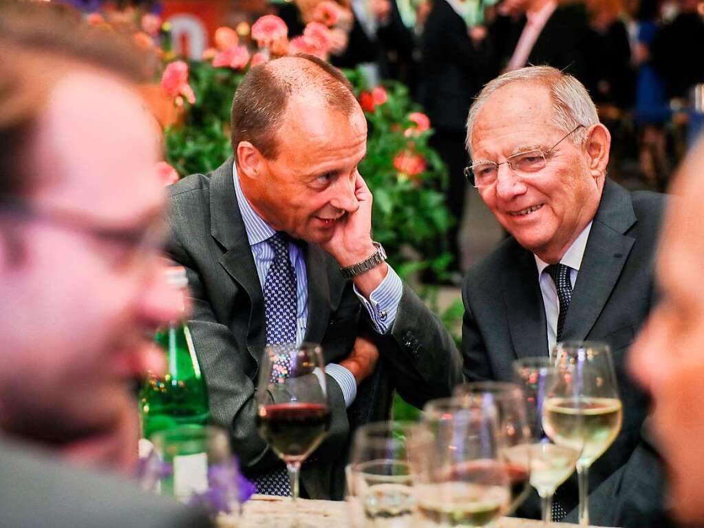 Friedrich Merz und Wolfgang Schuble im Sommer 2016 in Berlin