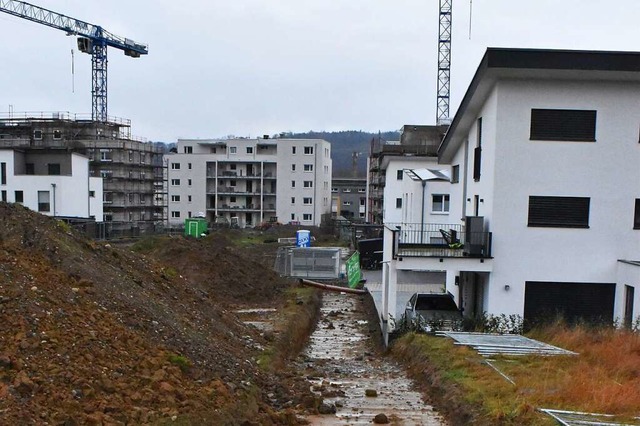 In die Mehrfamilienhuser im Baugebiet...rhjahr die ersten Bewohner einziehen.  | Foto: Thomas Loisl Mink