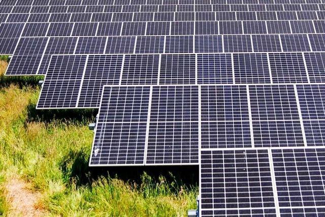 Der Solarpark ist ein Alleinstellungsmerkmal für Eimeldingen