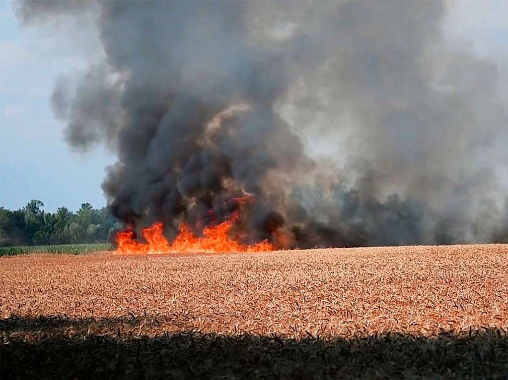 Ein ausgedehnter Flchenbrand in Schwanau sorgte im Juli fr einen Groeinsatz der Feuerwehren. Rund ein Hektar Ackerflche am nordwestlichen Ortsrand von Ottenheim gingen hierbei in Flammen auf.