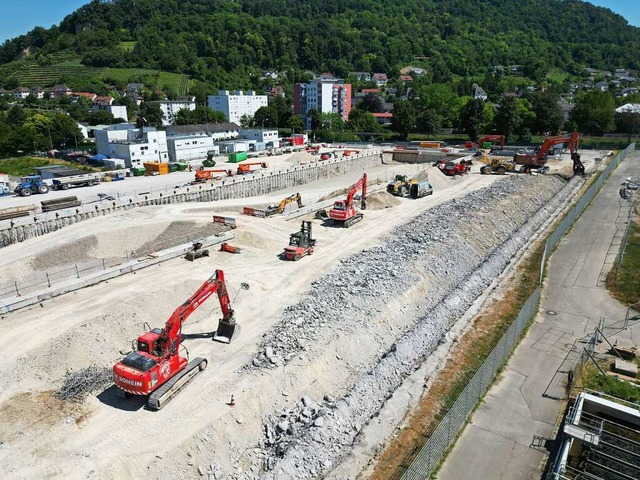 In diesem Jahr rollten zahlreiche Bagg...-Wyhlen, wie hier auf dem Roche-Areal.  | Foto: Roche Pharma