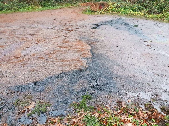 Das Altl verteilte sich auf dem Parkplatz am Altvater.  | Foto: Stadt Lahr