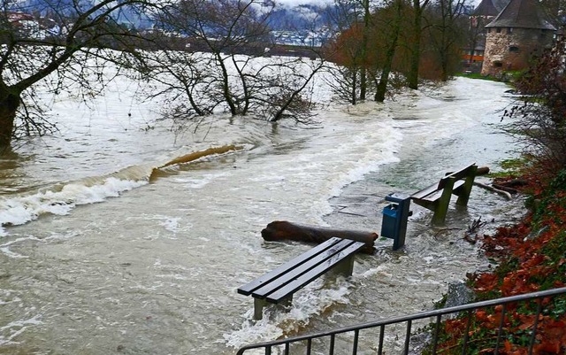 Ein Bild trgt: Wenn auch der Rhein na...chlag als im Mittelwert 1991 bis 2020.  | Foto: Karl Braun