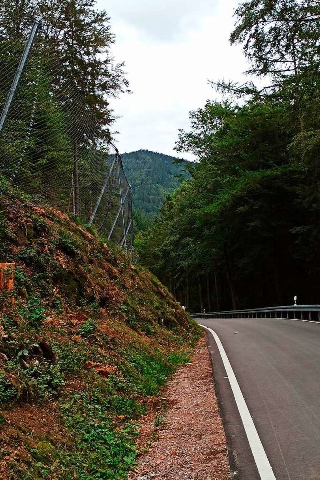 Entlang der Kandelstrae wurden bereits 2023  Steinschlagzune errichtet.  | Foto: Regierungsprsidium Freiburg