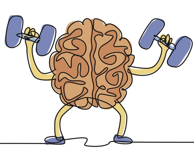 Fr seine Leistungen braucht das Gehirn vergleichsweise viel Energie.  | Foto: Simple Line (stock.adobe.com)