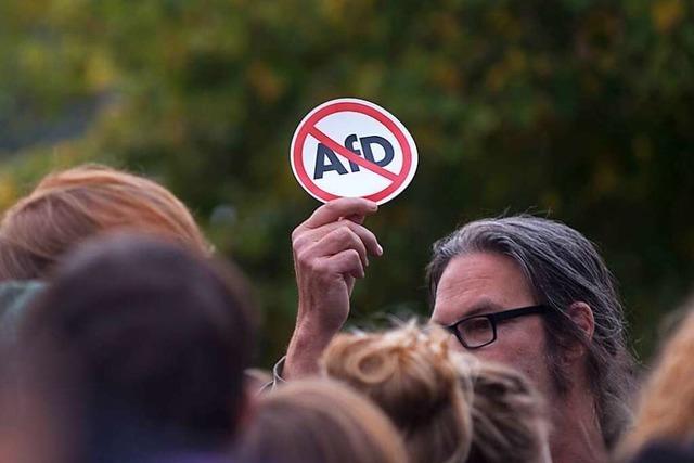 Ein AfD-Verbot wre der falsche Weg