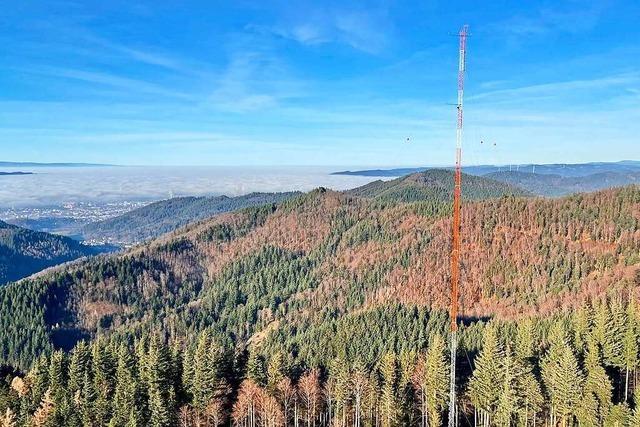Auf dem Freiburger Taubenkopf sammelt ein 140 Meter hoher Mast Daten fr die Windkraft