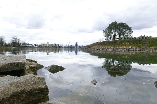 PFAS-Chemikalien sind im Rheinwasser nachgewiesen worden.  | Foto: Sophia Ungerland