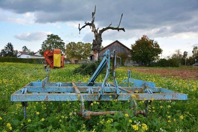 Postfiliale und Sgischopf beschftigen Haltingen