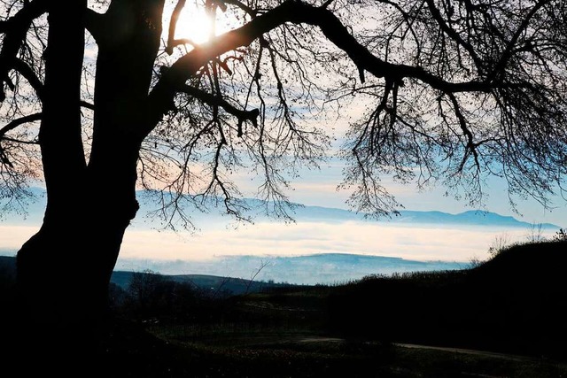 Blick auf die Freiburger Bucht.  | Foto: Peter Galli