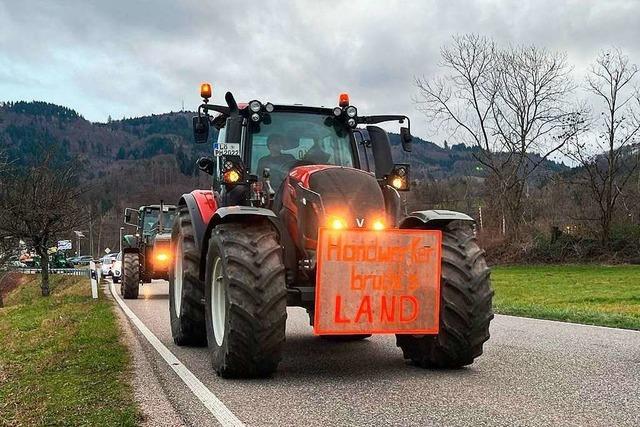 Fotos: Der Bauernprotest in Sdbaden