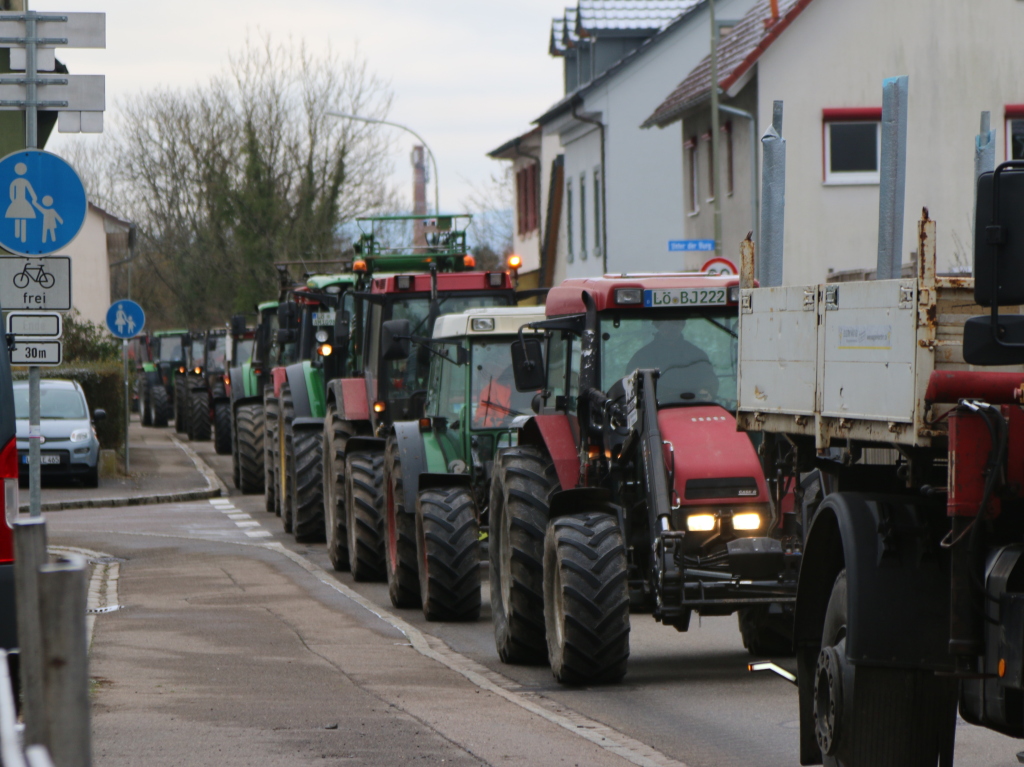 Bauernprotest in Lrrach