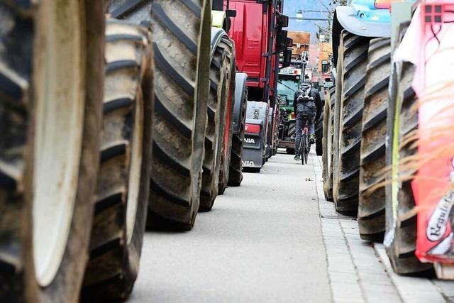 Video: Tausende Landwirte demonstrieren in mehreren Stdten in Sdbaden