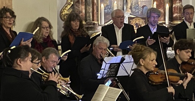 Der Chor und das Orchester begeisterten in der Schlosskirche.  | Foto: Bertold Obergfll