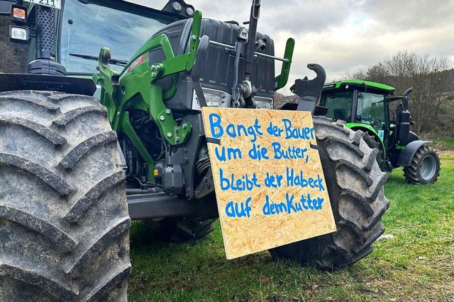 Klartext Richtung Berlin &#8211; doch ... markiger Sprche auf Protestplakaten.  | Foto: Helmut Seller