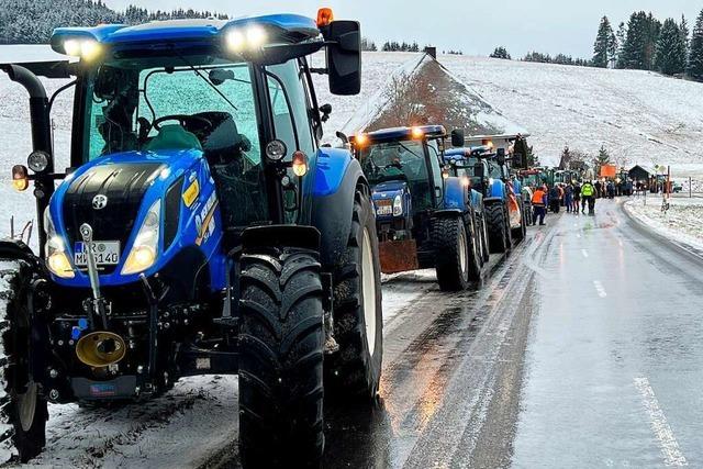 Landwirte im Hoch- und Sdschwarzwald protestieren