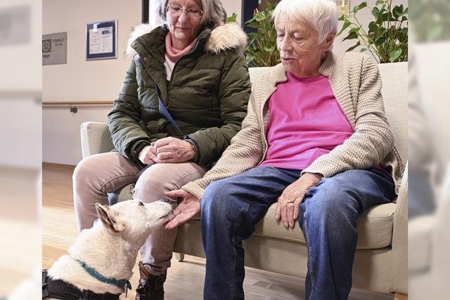 Wie Tiere das Leben im Pflegeheim bereichern knnen