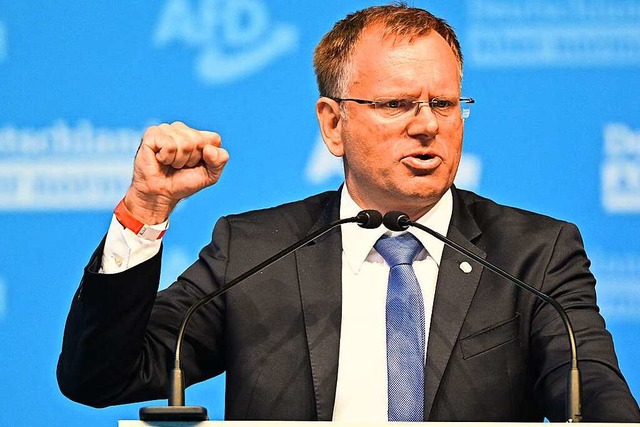 Dirk Spaniel, Bundestagsabgeordneter d...eim AfD-Landesparteitag in Stuttgart).  | Foto: Bernd Weibrod (dpa)