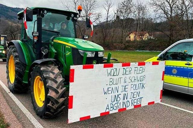 Durch Rheinfelden und Grenzach-Wyhlen fahren bis Samstag tglich weitere Traktorkorsos