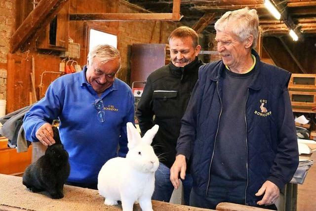 Bonndorfer stehen ganz oben auf dem Treppchen