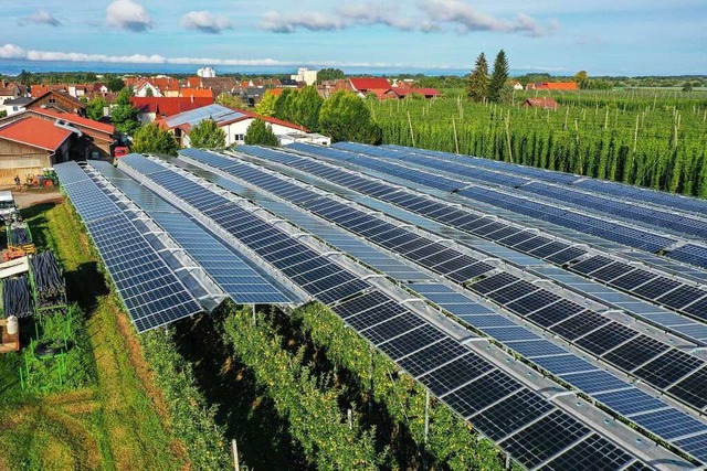 So wie diese Agri-Photovoltaikanlage i...ung mit landwirtschaftlichen Kulturen.  | Foto: Felix Kstle (dpa)