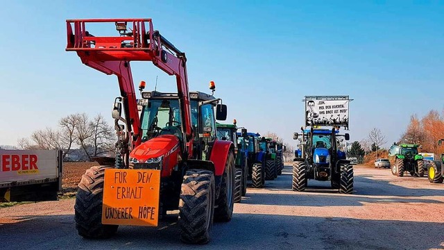 Auf dem Weg nach Offenburg befinden si...g diese Landwirte mit ihren Traktoren.  | Foto: Katja Saake