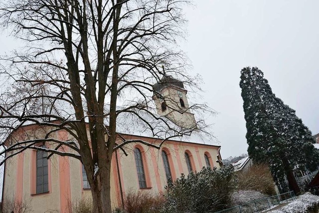 Bei der Kirche St. Gallus in Merzhause...d ein Mammutbaum in der Nachbarschaft.  | Foto: Sophia Hesser