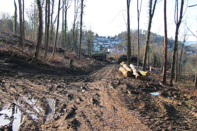 Im Wald ber der Homburg-Siedlung wird...Regen   setzt auch den Wegen sehr  zu.  | Foto: Sabine Ehrentreich