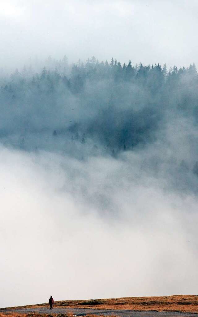 Eine Frau luft auf dem Gipfel des Fel...arzwald den Blick ber dem Wolkenmeer.  | Foto: A3446 Patrick Seeger