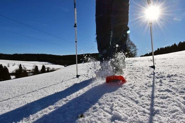 Fr Anfnger: Drei leichte Schneeschuh-Touren im Schwarzwald
