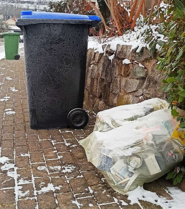 Gelbe Scke und Papiertonnen stehen in Endingen bereit fr die Abfuhr.  | Foto: Martin Wendel