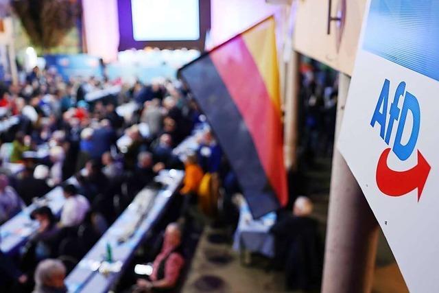 AfD-Landesparteitag in Bayern: Halemba soll sein Mandat niederlegen
