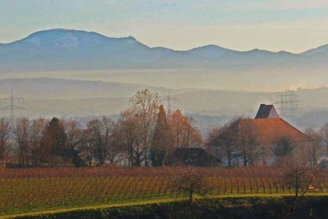 Panoramablick bei einem Winterspaziergang am Tuniberg