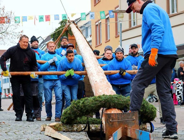 Viel Muskelkraft war gefragt beim Narrenbaumstellen.  | Foto: Thomas Winckelmann